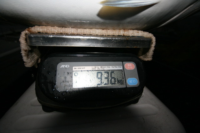 218.JPG